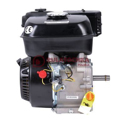 Petrol engine Weima WM170F-S 20079 photo