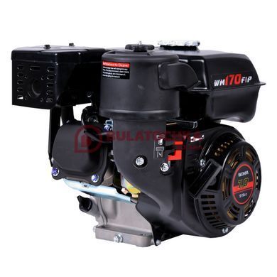 Petrol engine Weima WM170F-S 20079 photo