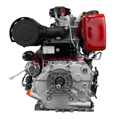 Diesel engine Weima WM192FAE with oil filter 21010 photo