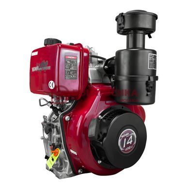 Diesel engine Weima WM192FAE with oil filter 21010 photo