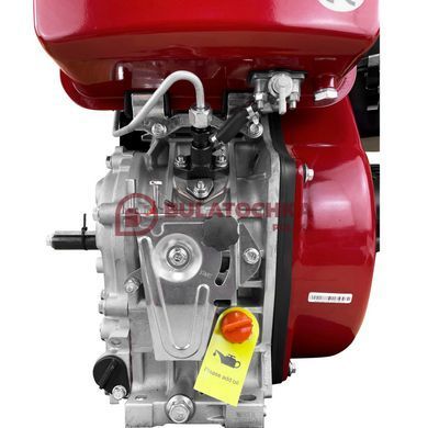 Diesel engine Weima WM192FAE with oil filter 21010 photo