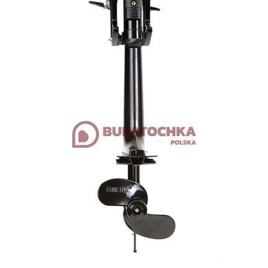 Лодочный двигатель Gr&uuml;nwelt GW-200FC 12014 фото